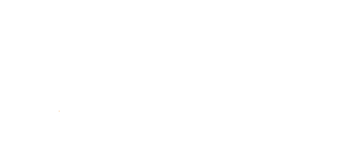 100% verzekerd